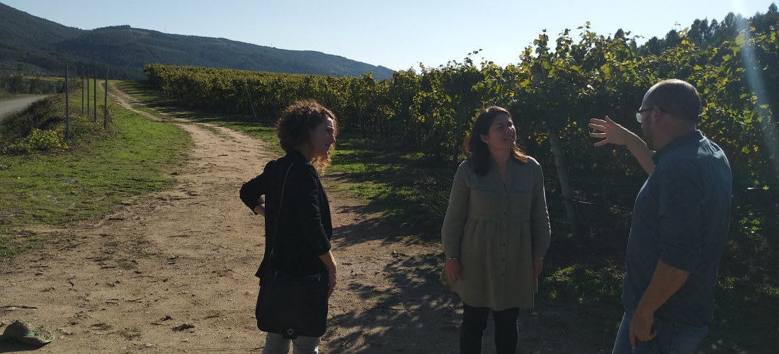 Seguimiento Hito 4 MC