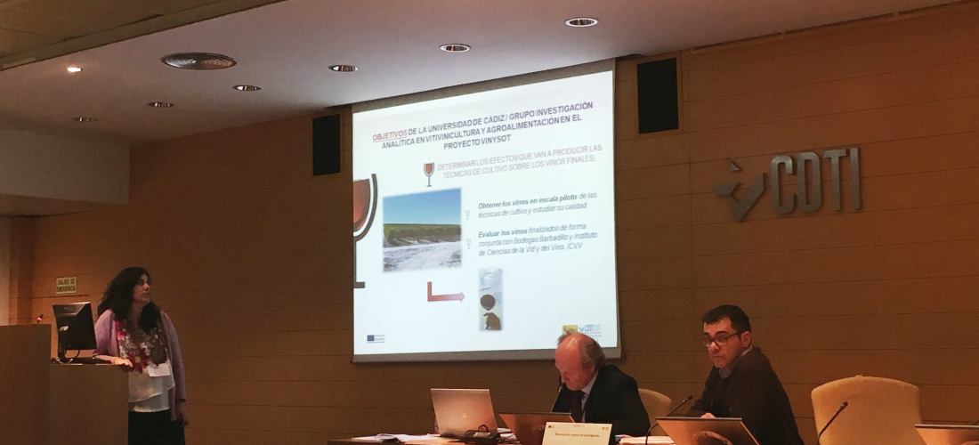 Universidad de Cádiz – Ana Ruiz