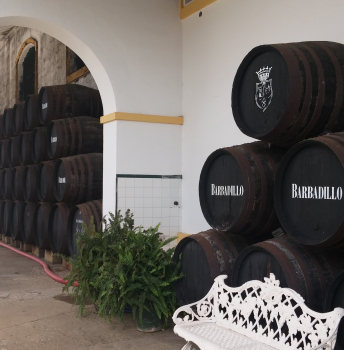 Tercer Comité Ejecutivo